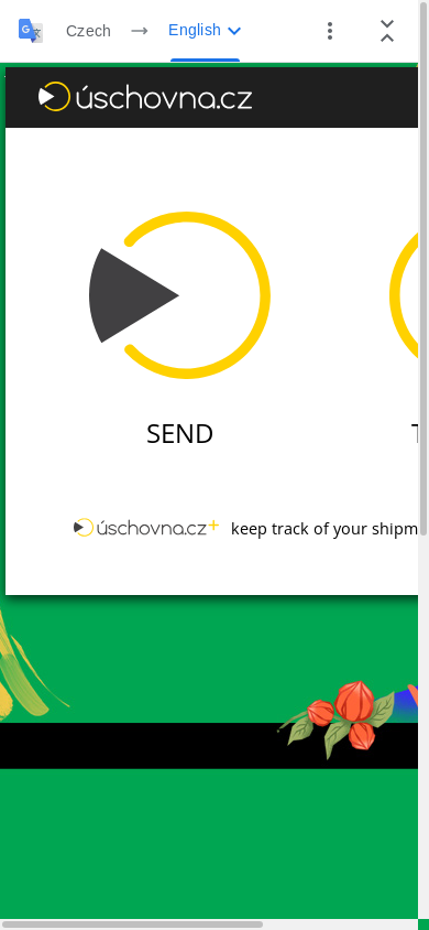 the mobile screenshot of www-uschovna-cz.translate.goog